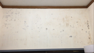 カビ施工前