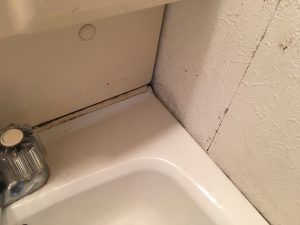 洗面台カビ処理前