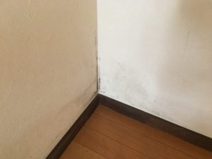 クロスコーナーカビ処理前