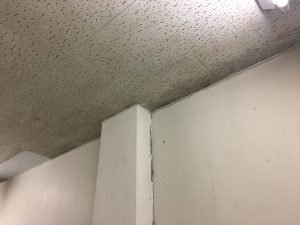 カビ処理中汚染２