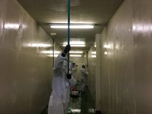 カビ処理ジェル塗布