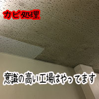 本日のカビ処理