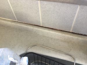 ゴムパッキンのカビ