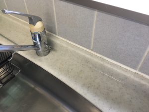 ゴムパッキンのカビ処理後