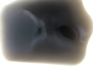 エアコンクリーニングからでた排水