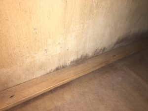 押入れのカビ取り前