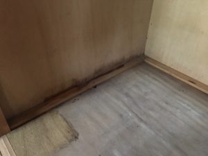 部分的にカビ取りをした後