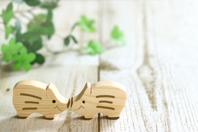 本年もよろしく御願いします。イノシシの写真