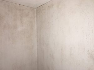 カビだらけの壁２