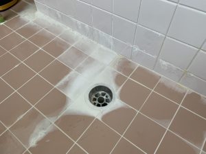 びっしりエフロ