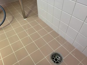 キレイになったエフロ