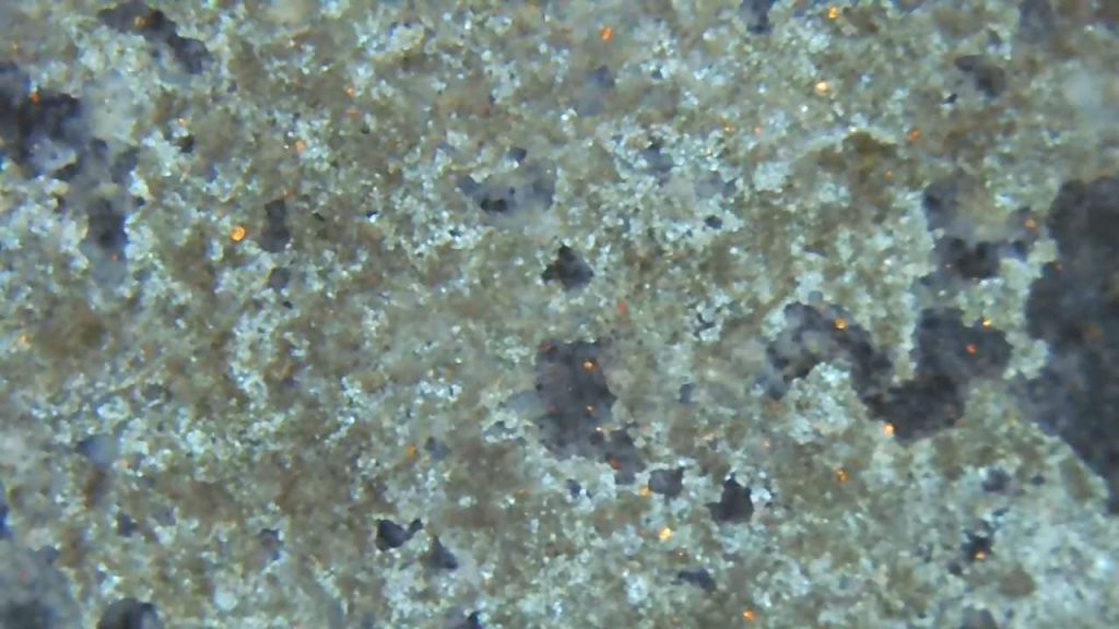 顕微鏡でみた光触媒コーティング